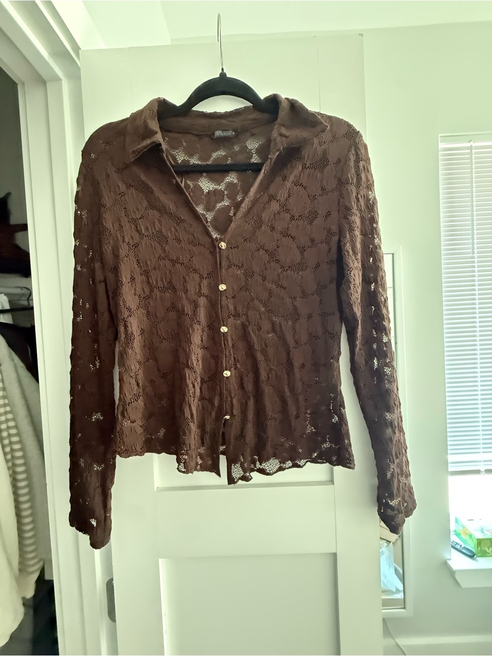Zara Brown Lace Button-Down Shirt